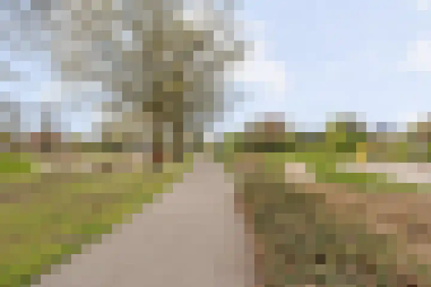 Drecht 11 Someren thumbnail 42