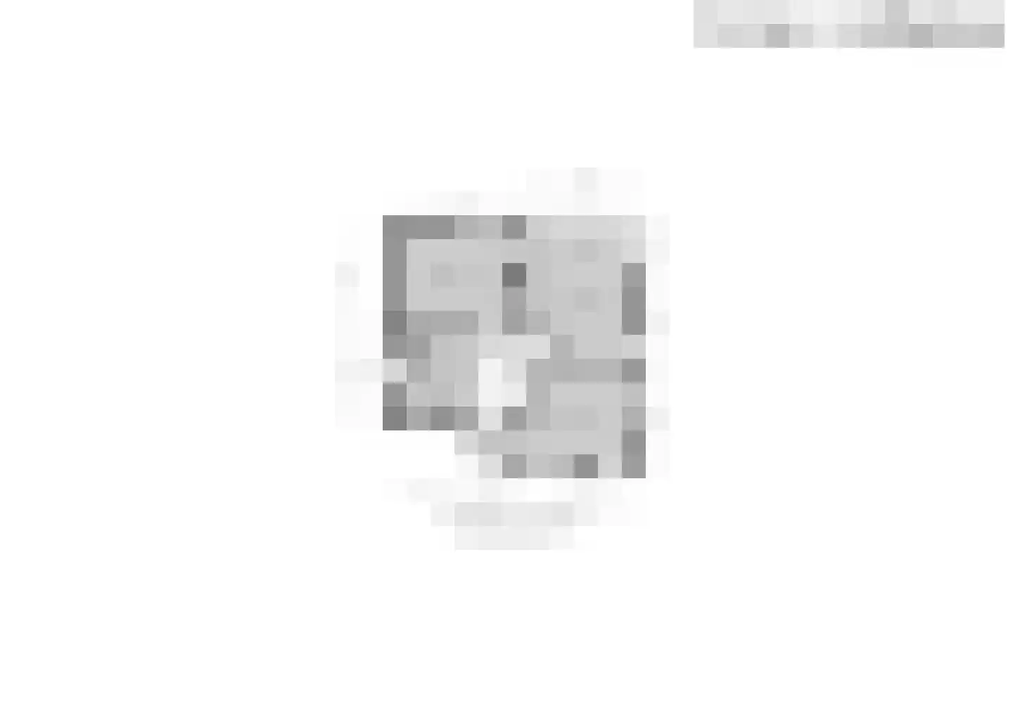 Drecht 11 Someren thumbnail 48