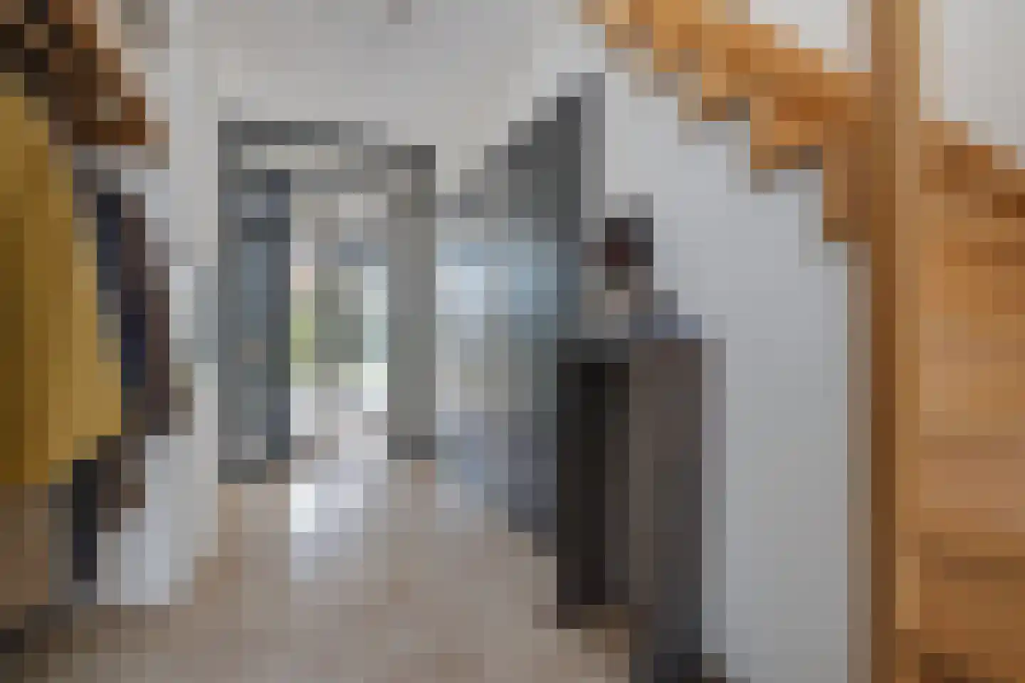 Drecht 11 Someren thumbnail 8