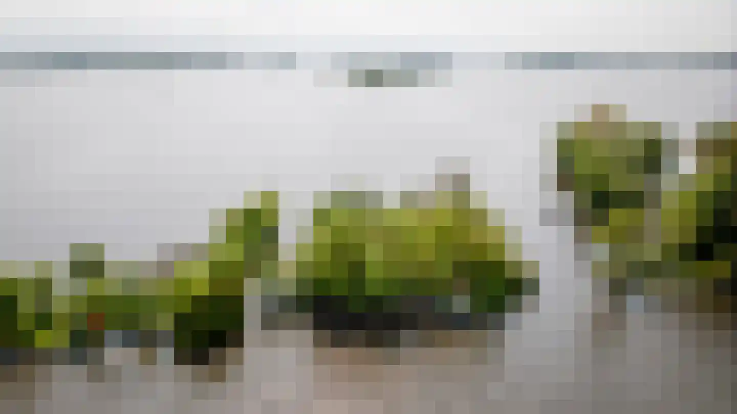 Drecht 16 Loosdrecht thumbnail 4
