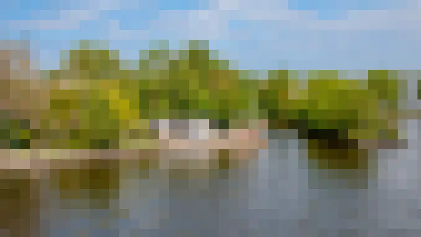 Drecht 16 Loosdrecht thumbnail 6
