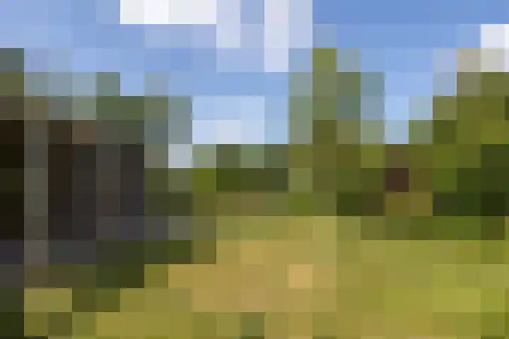Drecht 4 Loosdrecht thumbnail 18