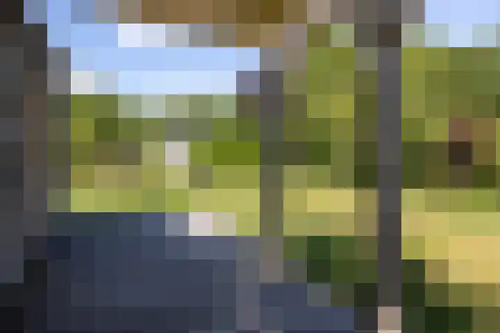 Drecht 4 Loosdrecht thumbnail 19
