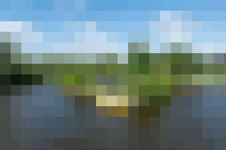 Drecht 4 Loosdrecht thumbnail 25