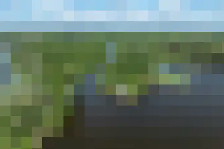 Drecht 4 Loosdrecht thumbnail 27