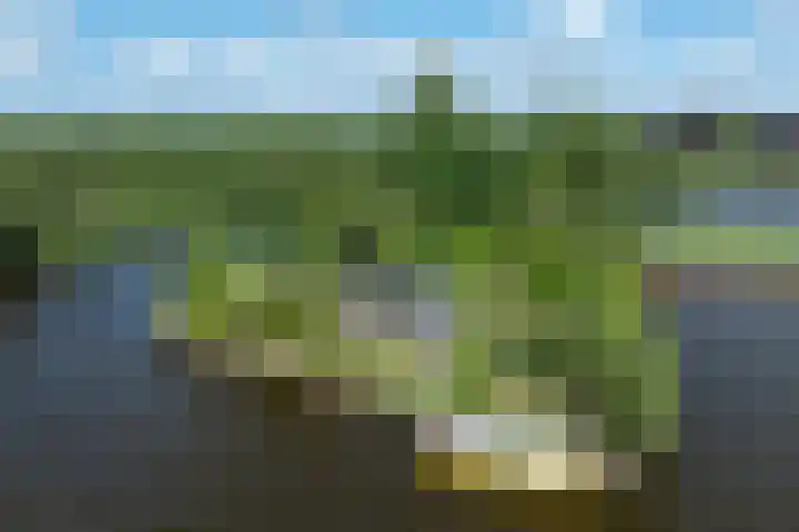 Drecht 4 Loosdrecht thumbnail 32