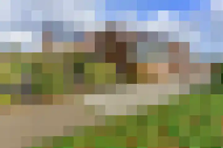 Drechtdijk 147 De Kwakel