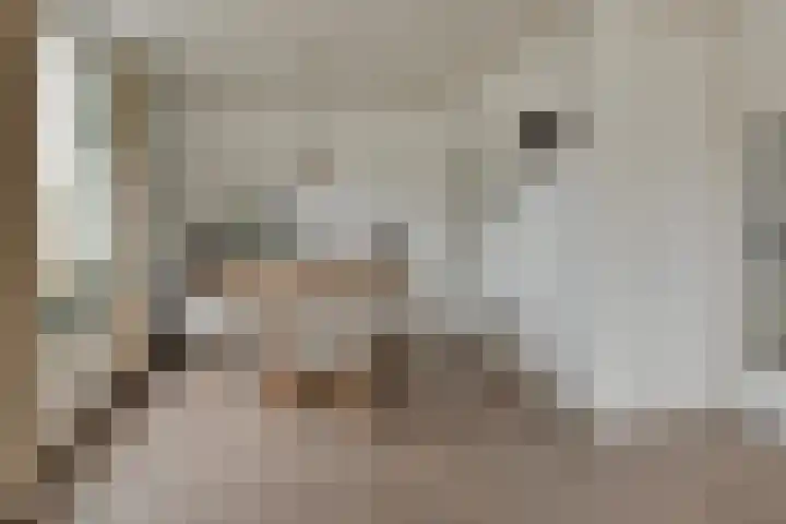 Drechtdijk 147 De Kwakel thumbnail 10