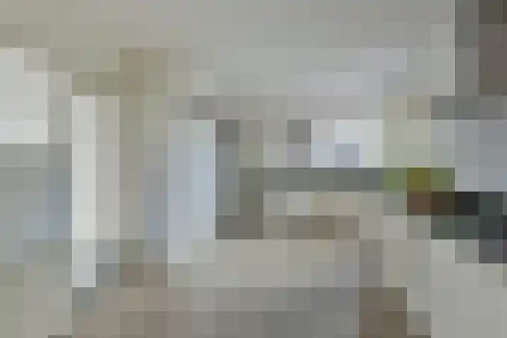 Drechtdijk 147 De Kwakel thumbnail 11
