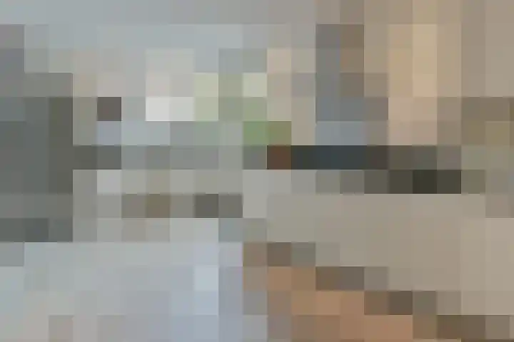 Drechtdijk 147 De Kwakel thumbnail 12
