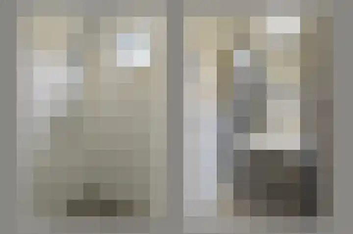 Drechtdijk 147 De Kwakel thumbnail 14