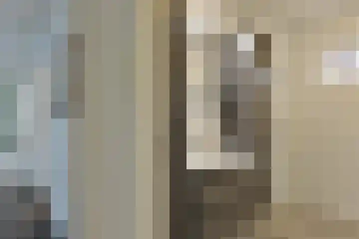 Drechtdijk 147 De Kwakel thumbnail 15