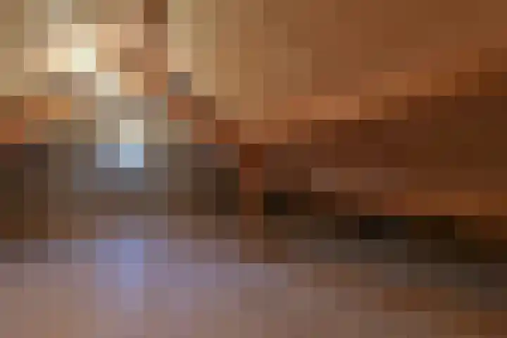 Drechtdijk 147 De Kwakel thumbnail 22