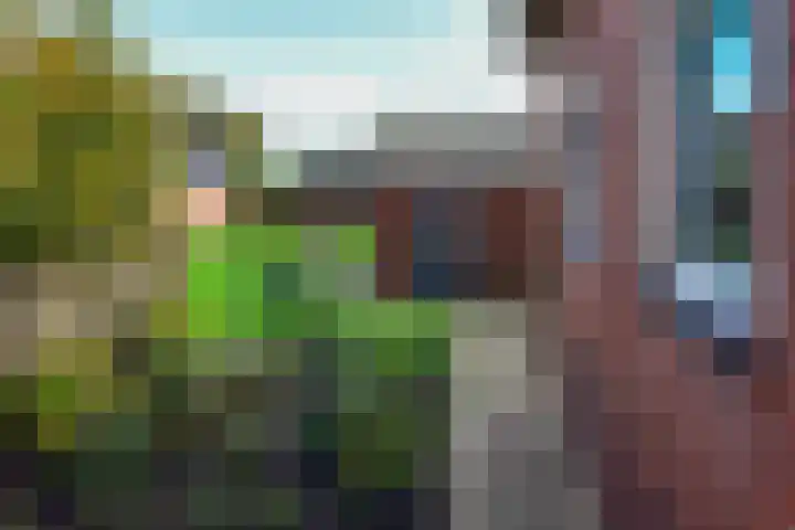 Drechtdijk 147 De Kwakel thumbnail 23