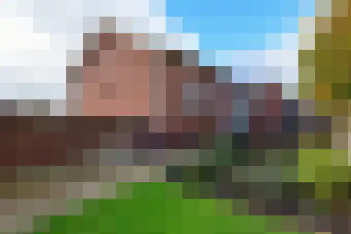 Drechtdijk 147 De Kwakel thumbnail 24