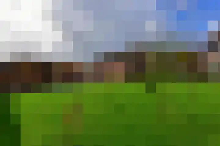 Drechtdijk 147 De Kwakel thumbnail 25