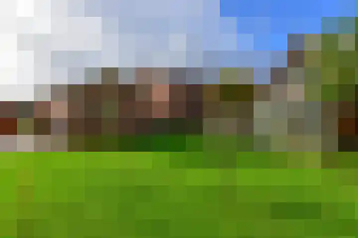 Drechtdijk 147 De Kwakel thumbnail 26