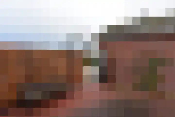 Drechtdijk 147 De Kwakel thumbnail 27
