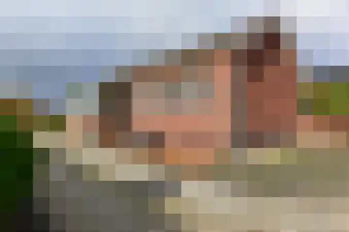 Drechtdijk 147 De Kwakel thumbnail 29