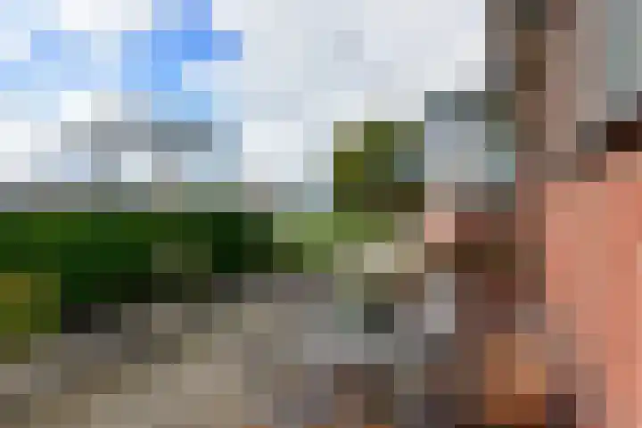 Drechtdijk 147 De Kwakel thumbnail 31