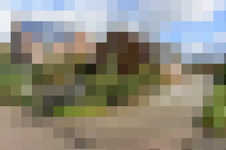 Drechtdijk 147 De Kwakel thumbnail 33