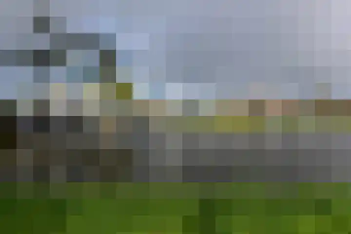 Drechtdijk 147 De Kwakel thumbnail 34