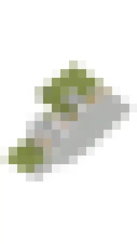 Drechtdijk 147 De Kwakel thumbnail 36