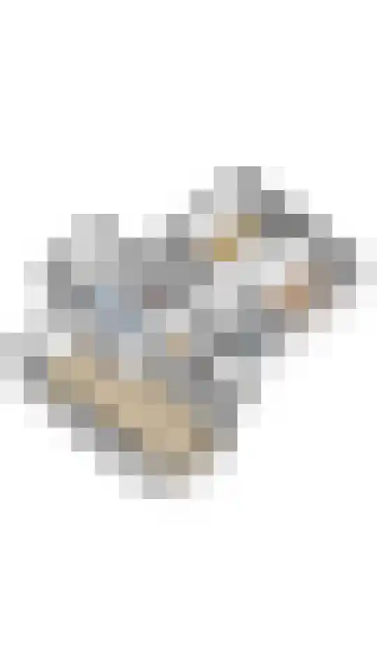 Drechtdijk 147 De Kwakel thumbnail 38