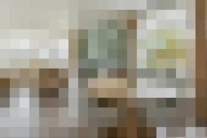 Drechtdijk 147 De Kwakel thumbnail 4