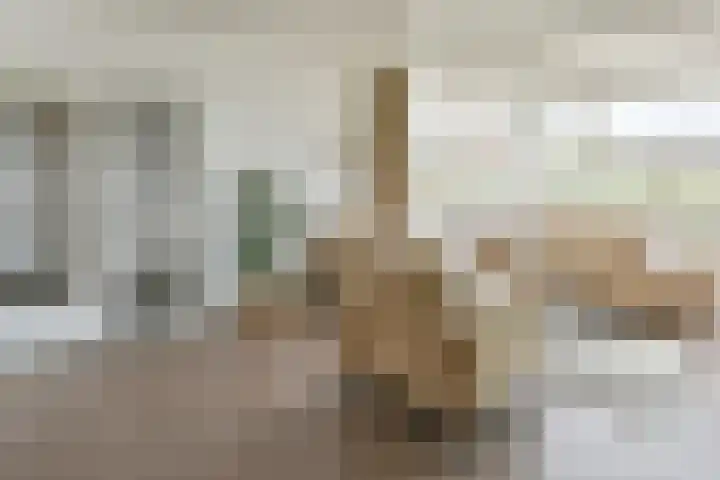 Drechtdijk 147 De Kwakel thumbnail 5