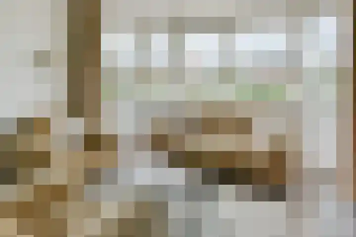 Drechtdijk 147 De Kwakel thumbnail 6