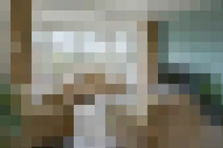Drechtdijk 147 De Kwakel thumbnail 7