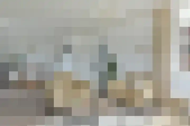 Drechtdijk 147 De Kwakel thumbnail 8