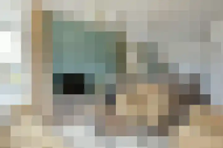 Drechtdijk 147 De Kwakel thumbnail 9