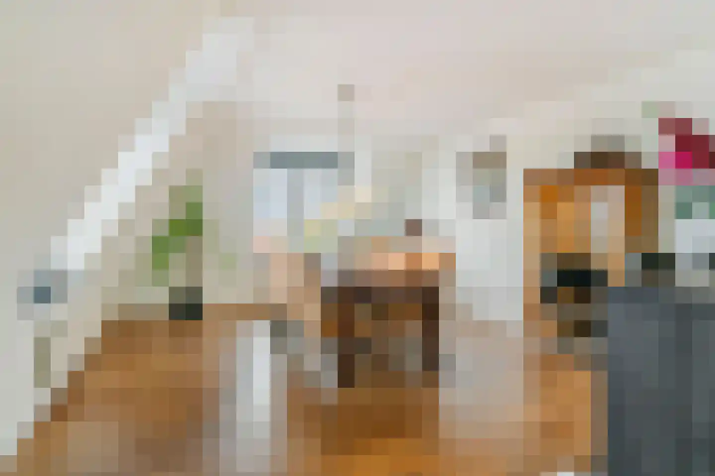 Drechtdijk 5 B De Kwakel thumbnail 10