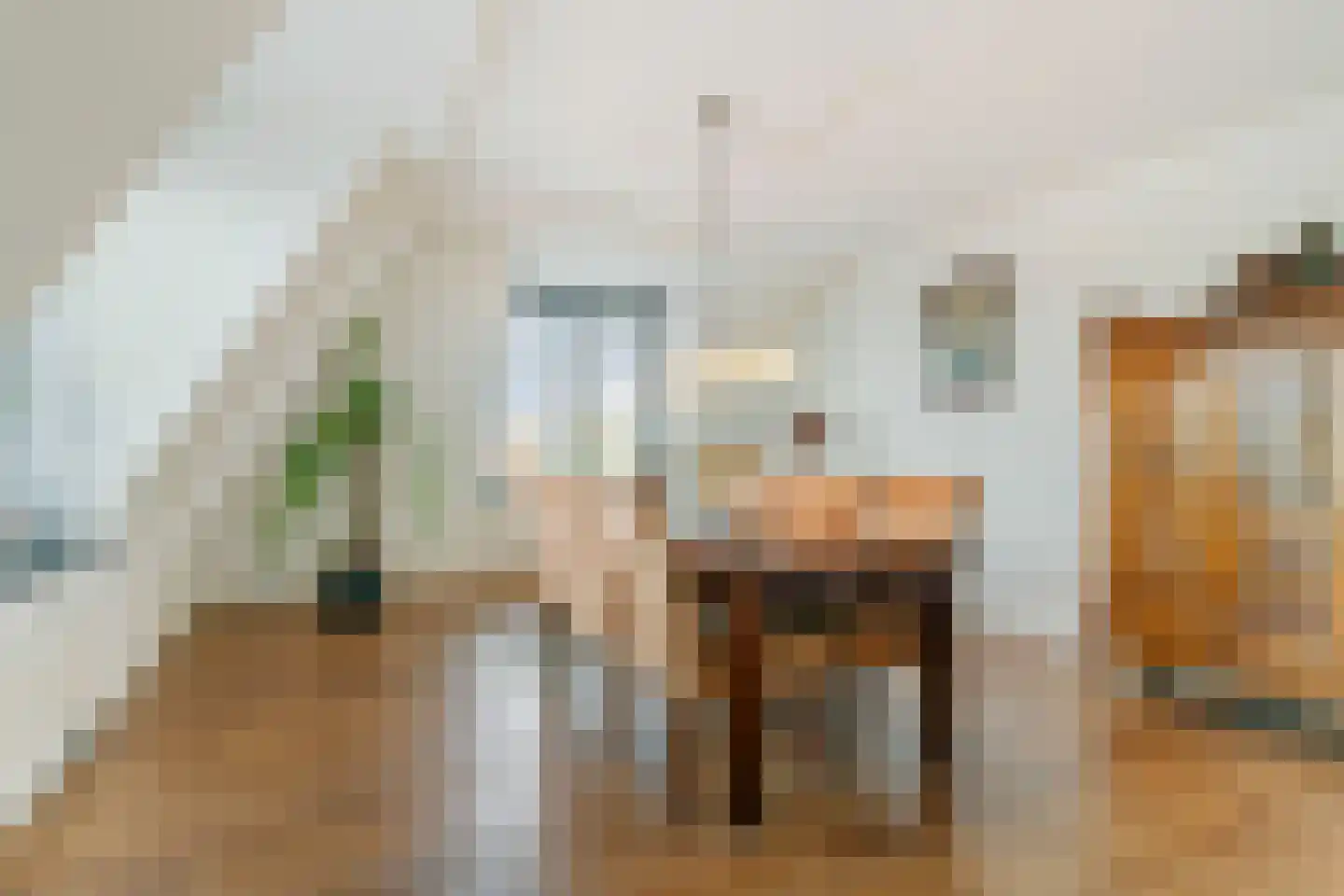 Drechtdijk 5 B De Kwakel thumbnail 12