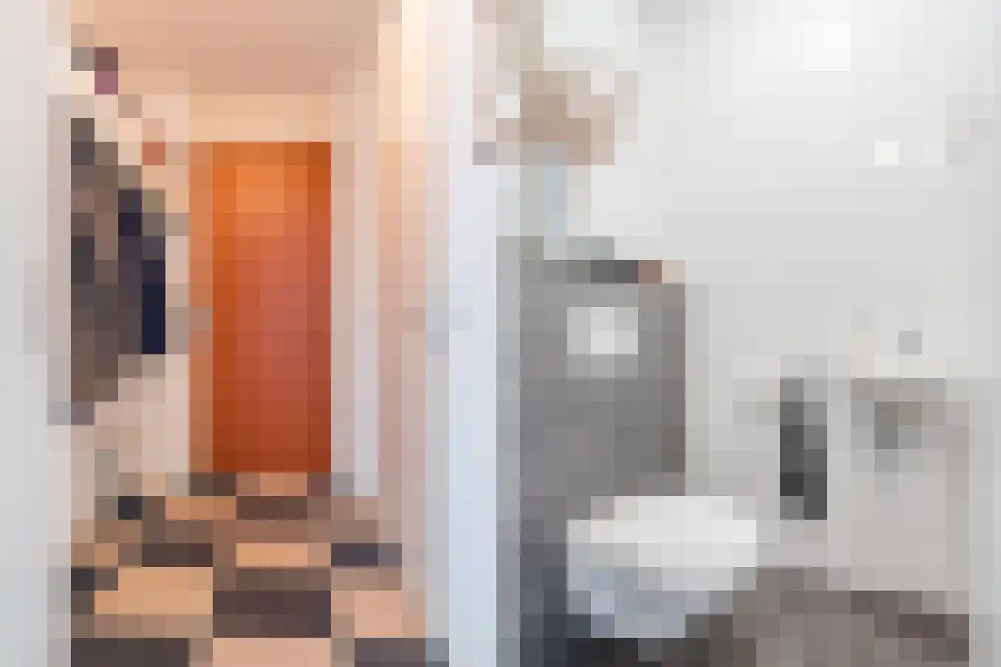 Drechtdijk 5 B De Kwakel thumbnail 13