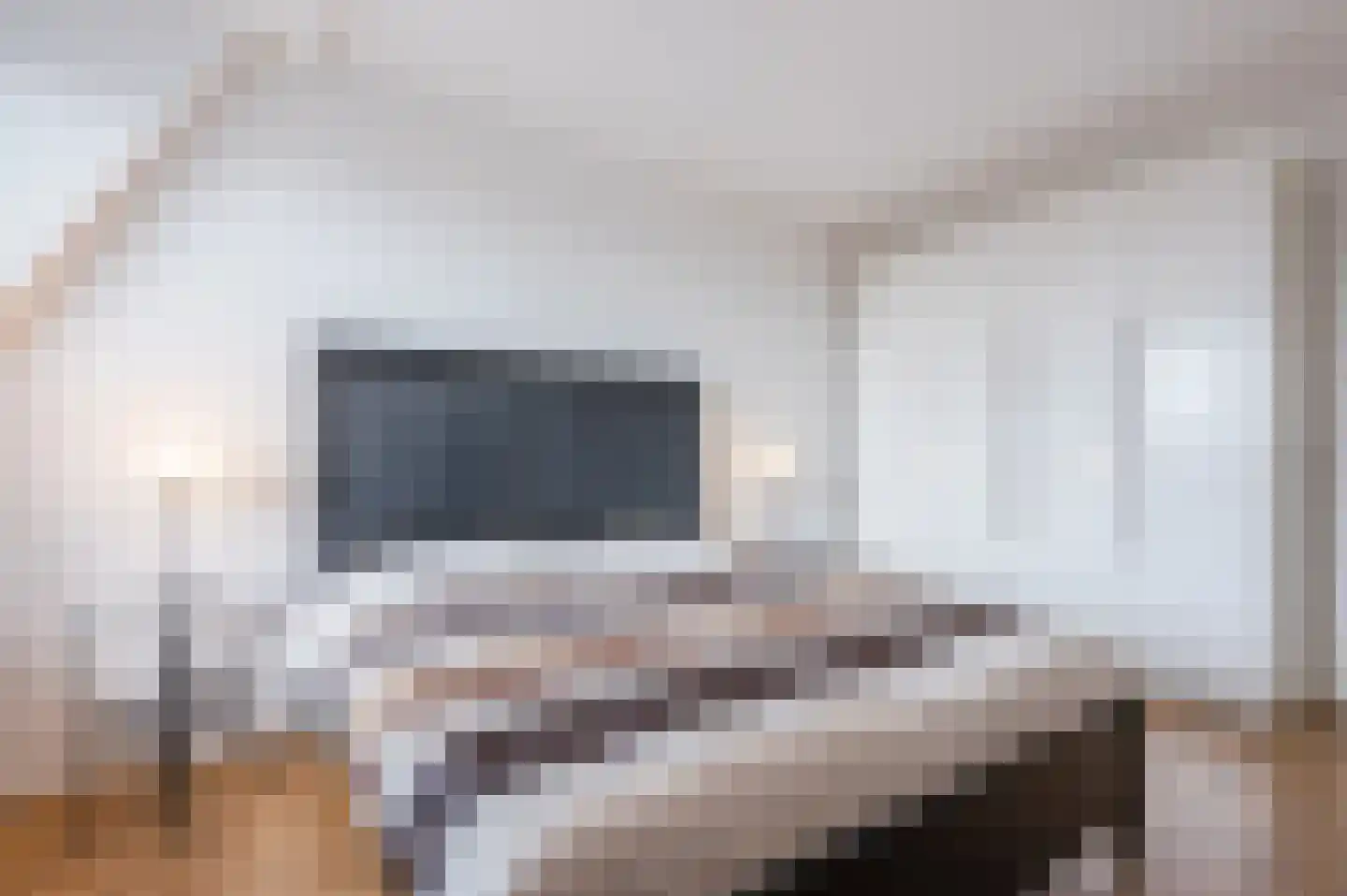 Drechtdijk 5 B De Kwakel thumbnail 21