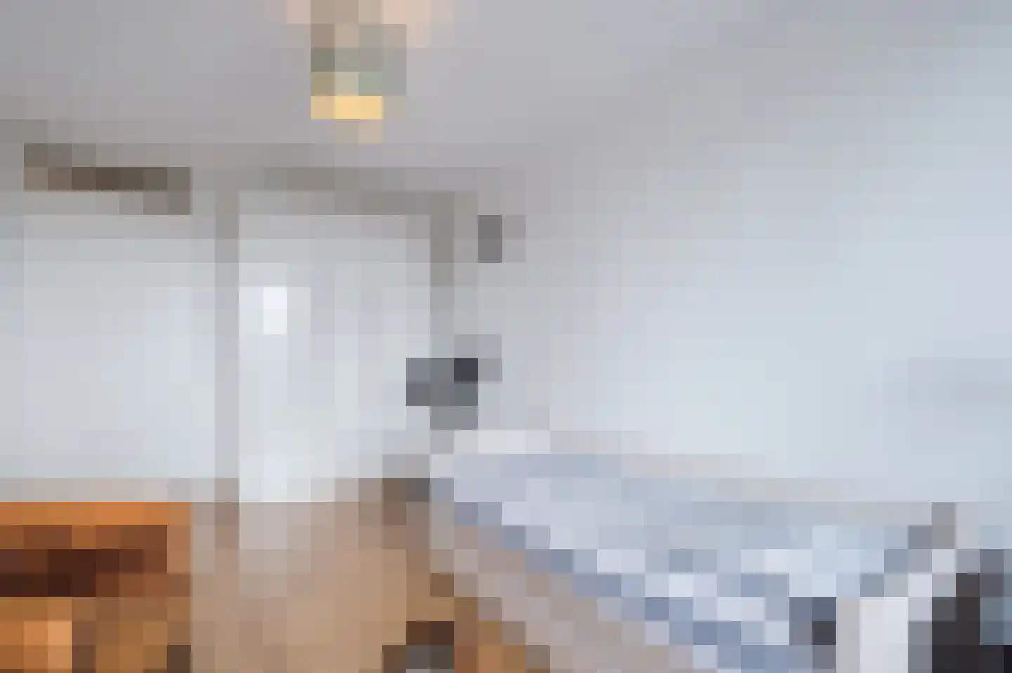Drechtdijk 5 B De Kwakel thumbnail 23