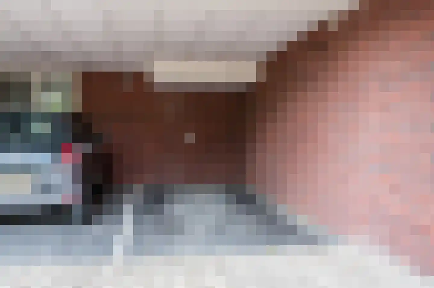 Drechtdijk 5 B De Kwakel thumbnail 29