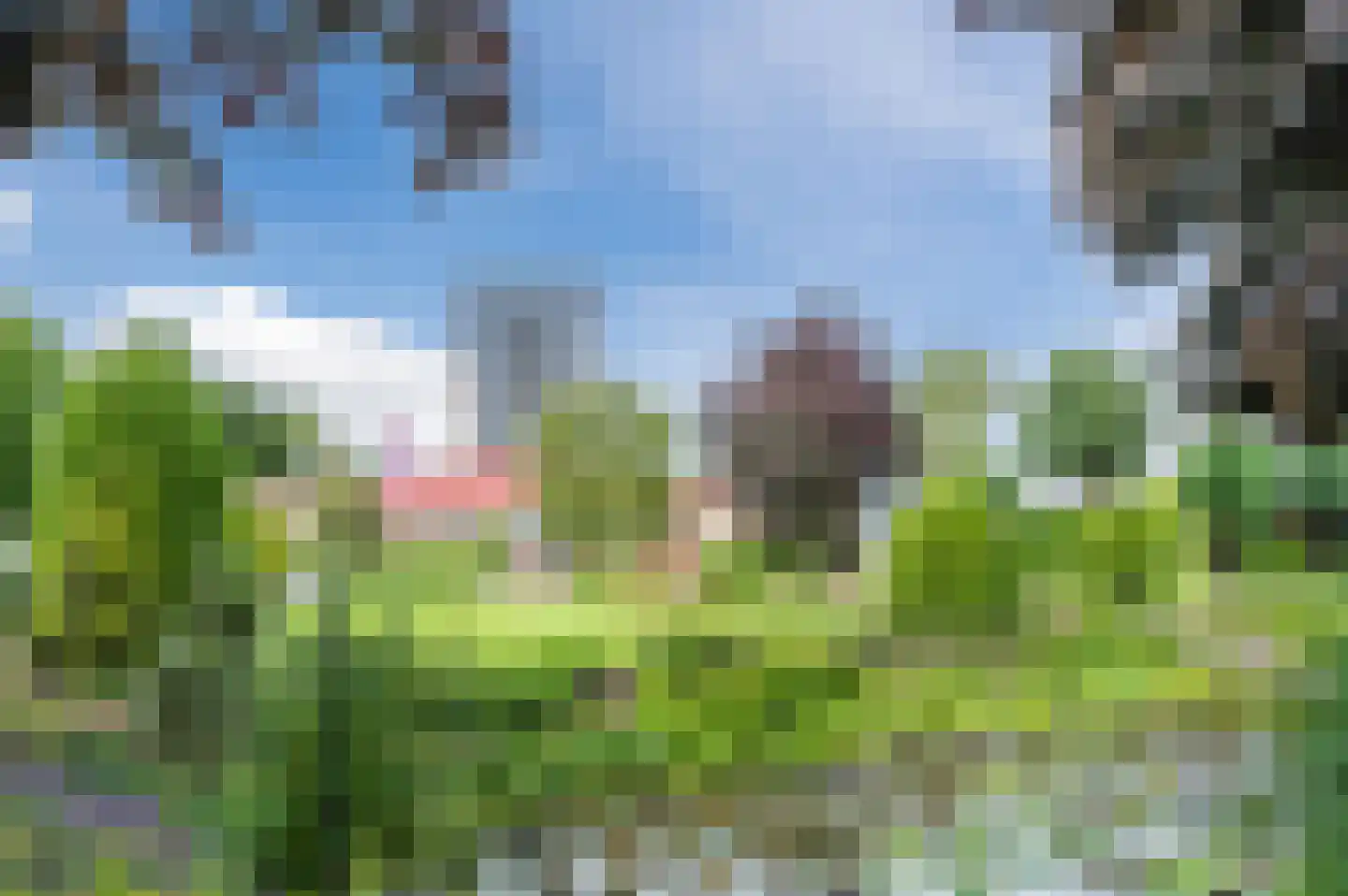 Drechtdijk 5 B De Kwakel thumbnail 33