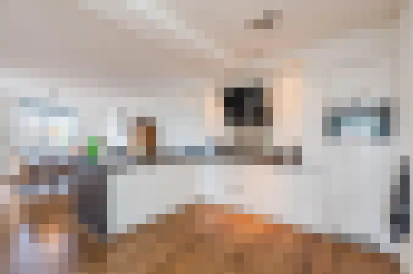 Drechtdijk 5 B De Kwakel thumbnail 4