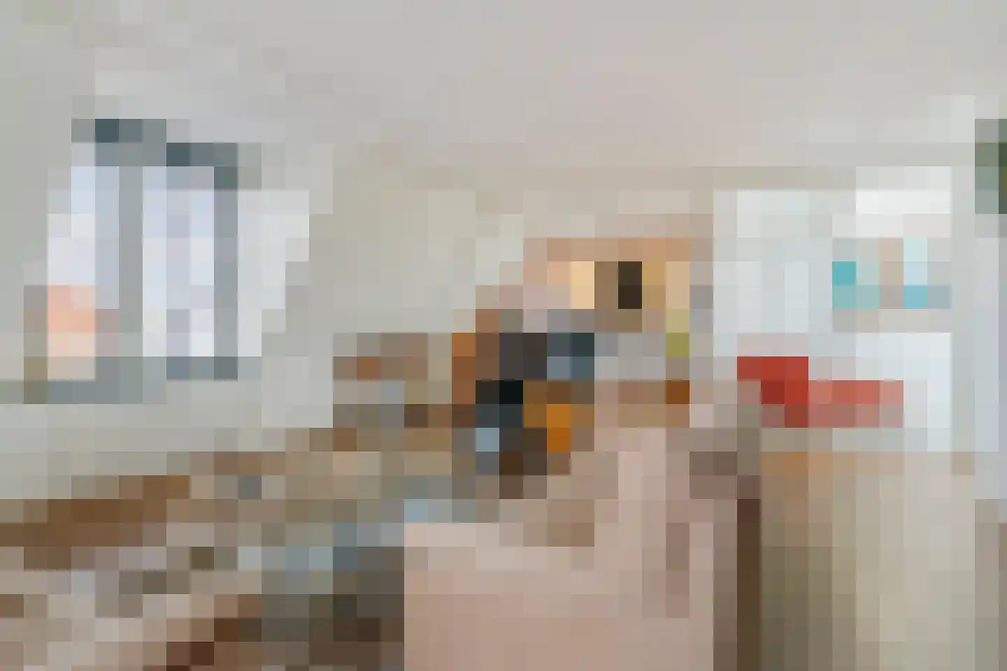 Drechtdijk 5 B De Kwakel thumbnail 6