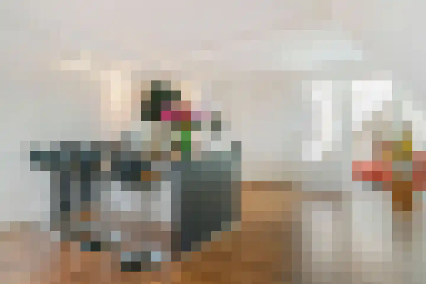 Drechtdijk 5 B De Kwakel thumbnail 7