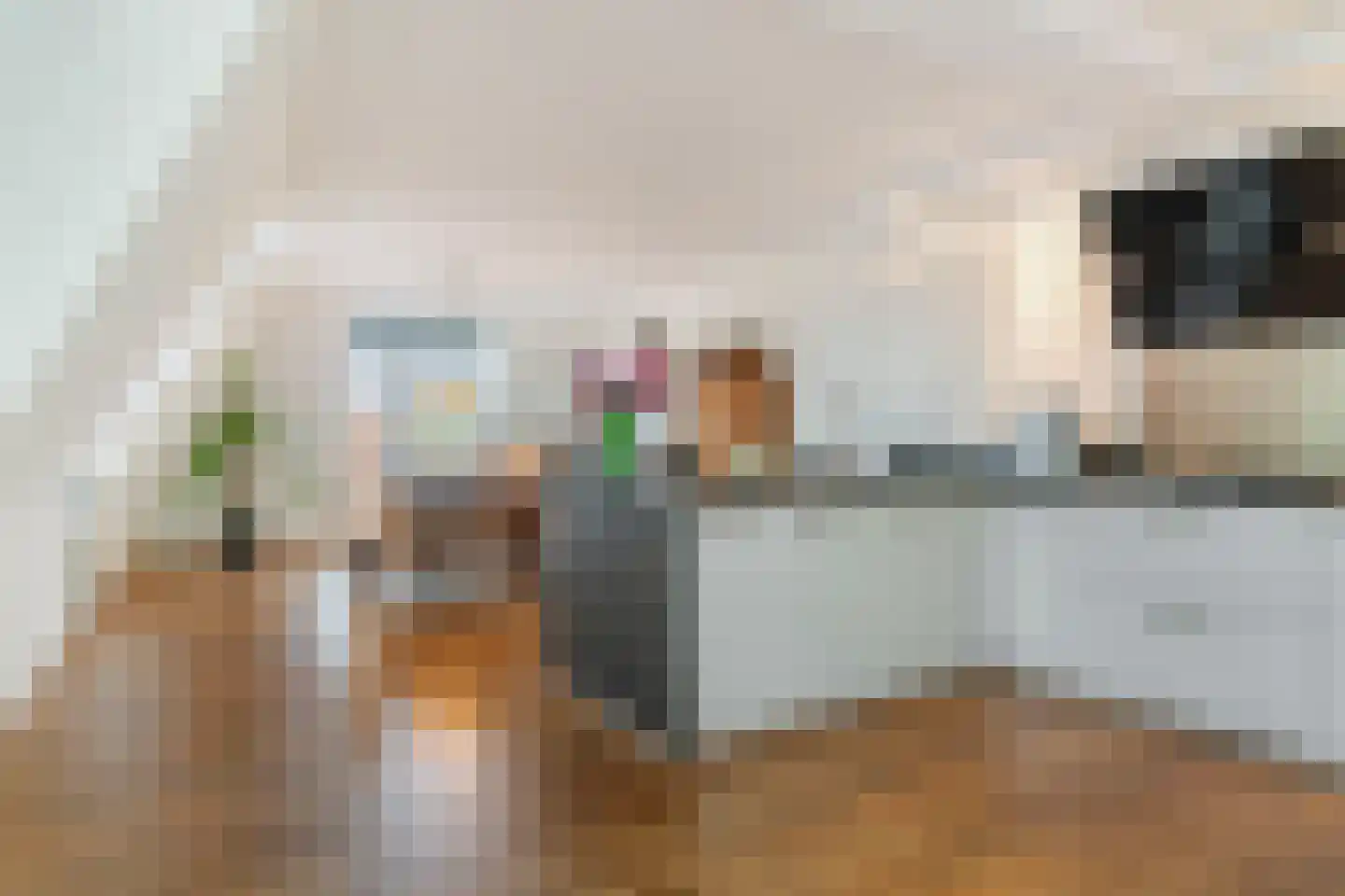 Drechtdijk 5 B De Kwakel thumbnail 8