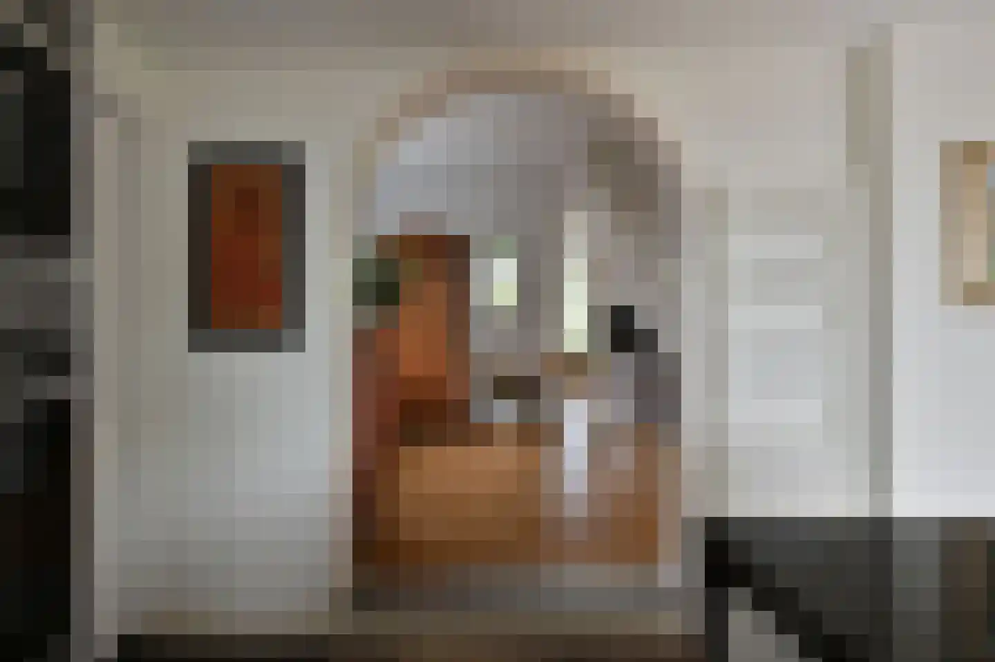 Drechtdijk 53 De Kwakel thumbnail 10