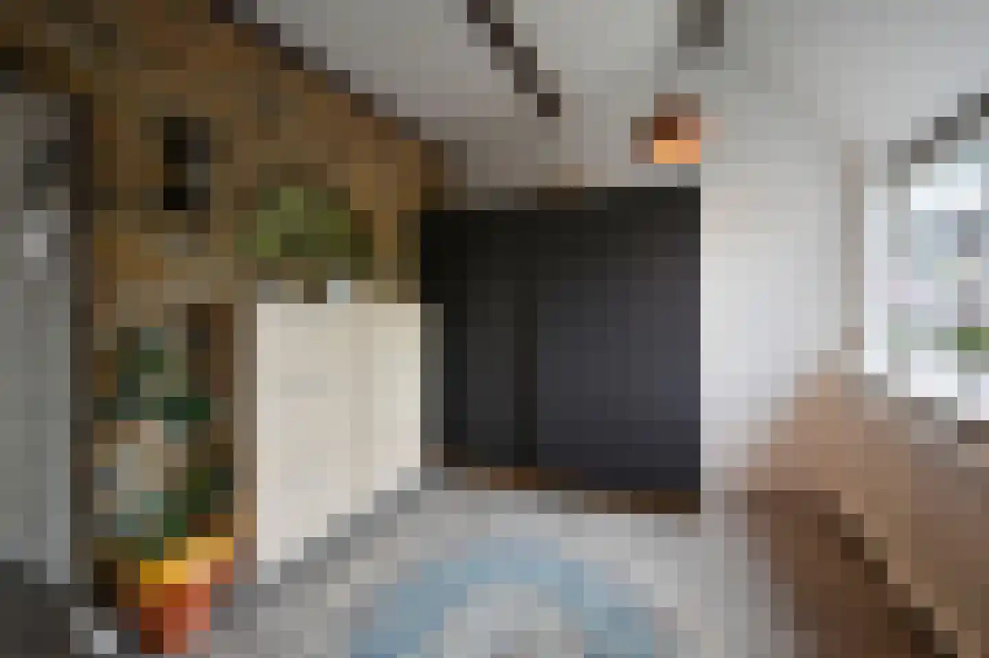 Drechtdijk 53 De Kwakel thumbnail 11