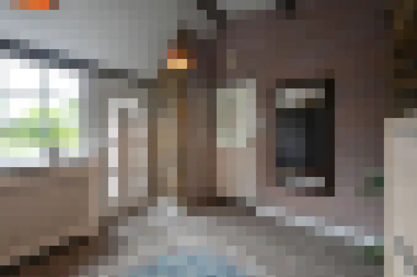 Drechtdijk 53 De Kwakel thumbnail 12