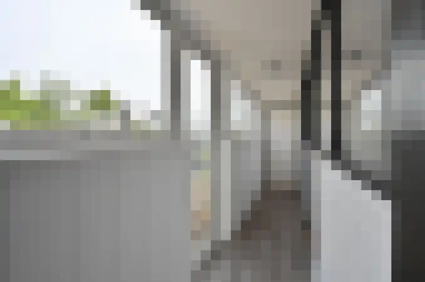 Drechtdijk 53 De Kwakel thumbnail 13