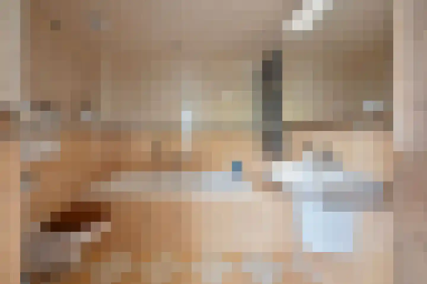 Drechtdijk 53 De Kwakel thumbnail 15